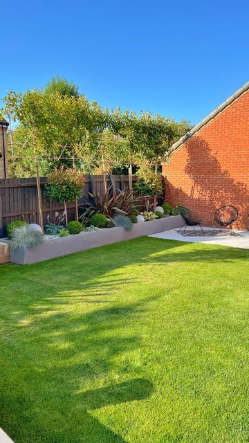 New Build Garden Ideas Privacy, Pleached Trees Privacy Screens, Overlooked Garden Privacy Ideas, Red Robin Tree, New Build Garden Ideas, Pleached Trees, Full Garden, Garden Transformation, Garden Privacy Screen