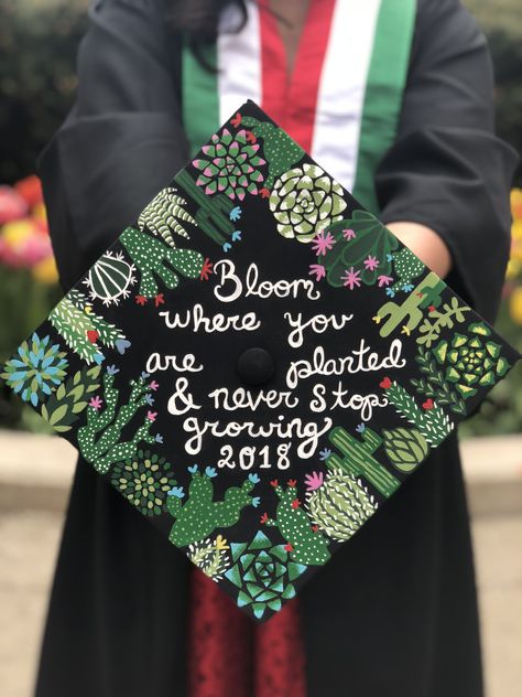 “Bloom where you are planted & never stop growing” hand painted graduation cap. Cacti and succulent theme. History Graduation Cap, Decorated Grad Caps, Grad Cap Ideas, Never Stop Growing, College Grad Cap Ideas, Grad Cap Decorated, High School Graduation Cap, College Graduation Cap Decoration, Grad Hat