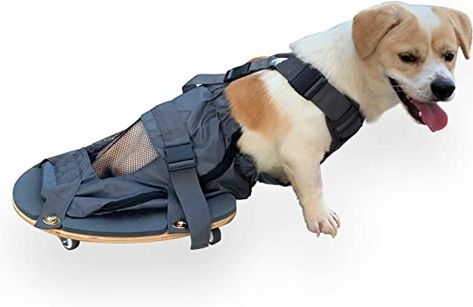 Diy Dog Wheelchair, Paralyzed Dog, Dog Wheelchair, Disabled Dog, Ip Security Camera, Dog Clothes Diy, Remote Viewing, Wireless Camera, Dog Diapers