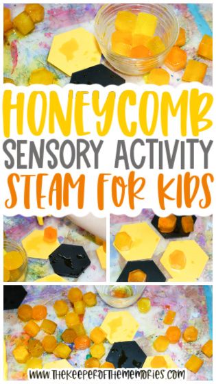 Bumblebee Activities For Preschool, Hexagon Activities For Preschool, Bees For Preschool, Bee Activities For Preschool, Bees Preschool, Sensory Activities For Preschoolers, Steam Activity, Bee Activities, Bee Classroom