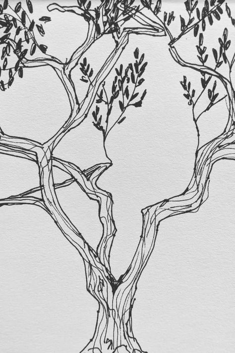 Line Art Tree Drawing, Draw An Olive Tree, Olive Tree Sketch Art, Olive Tree Illustration Drawings, Olive Tree Line Art, Fruit Tree Sketch, Tree Line Illustration, Abstract Tree Drawing, Olive Tree Design