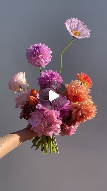 317 likes, 6 comments - soursunflower on August 4, 2022: "Dancing cosmo appreciation". Cosmo Bouquet, Bouquet Wedding, Bridal Bouquets, Bridal Bouquet, Cosmos, Bouquets, Dancing, Sunflower, On Instagram