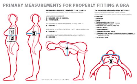 How-to determine bra size for transgender women | Bustyresources Wiki | Fandom Bh Hacks, Aya Couture, Pola Bra, Correct Bra Sizing, Sewing Bras, Bra Size Calculator, Bra Fitting Guide, Bra Sewing, Bra Measurements