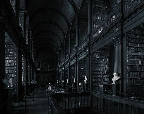 Dark College Aesthetic, Gothic Library Aesthetic, Durmstrang Aesthetic, Dark Library Aesthetic, Dark Library, Library Dark, Gothic Library, Black Library, Aesthetic Library