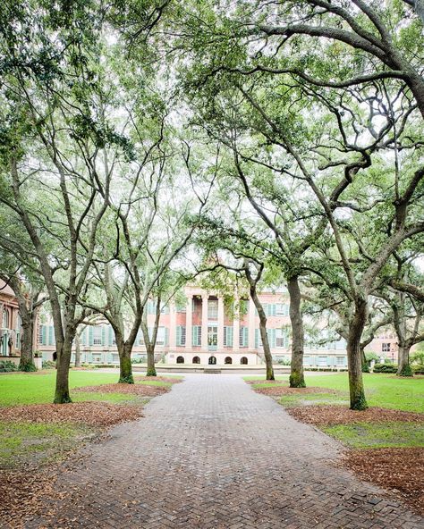 ***College of Charleston campus, Charleston, SC                                                                                                                                                                                 More Beautiful University, College Vibes, Hacks To Save Money, Map Ideas, College Life Hacks, College Of Charleston, Bloomington Indiana, College Aesthetic, New College