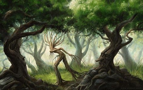 He Speaks for the Trees is listed (or ranked) 7 on the list The Best Lord of the Rings and The Hobbit Fan Art John Howe, Tolkien Art, Between Two Worlds, The Two Towers, Jrr Tolkien, Historical Art, High Fantasy, Poison Ivy, Green Lantern