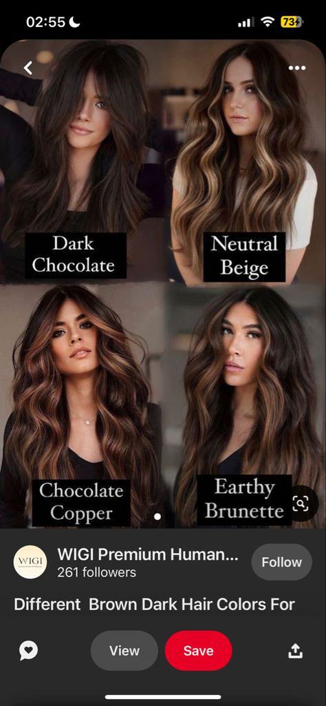 Earthy Brunette, Hair Ext, Cute Hair Colors, Hair Inspiration Color, Hair Color Dark, Dark Brown Hair, Hair Color For Black Hair, Brunette Hair, Dark Hair