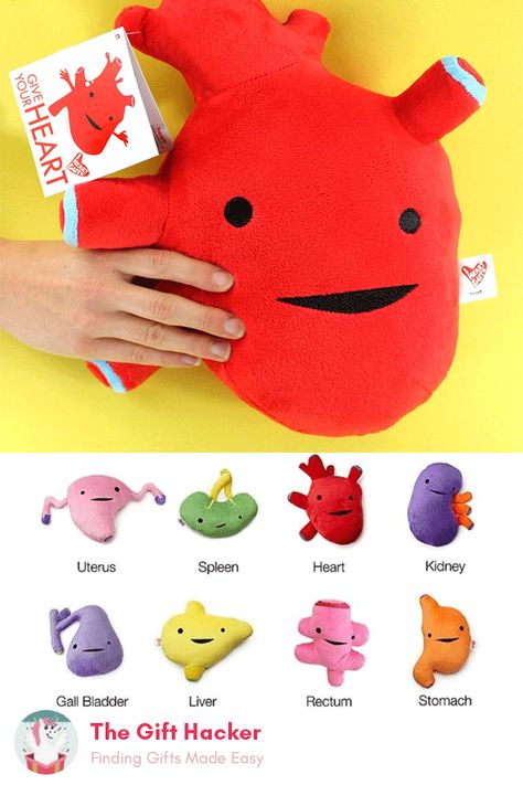 These plush organs are one of our favorite after surgery gag gifts.  The perfect gift if your loved one had surgery on one of his or her organs, whether it’s an appendectomy or removing a gallbladder.  Like a huggable get-well card, these plush pals give topics from sickness to surgery a soft touch.  Post-Surgery Gifts | After-Surgery Gifts | Recovery Gift Ideas | Post Surgery Care Package | Post Surgery Gift Basket | Get Well Soon Gifts Kidney Surgery Care Package, Open Heart Surgery Recovery Gift Basket, Gallbladder Surgery Gift Basket, Surgery Gift Basket Recovery, Get Well Soon Gift Ideas After Surgery, Surgery Recovery Basket, After Surgery Gift Ideas, Get Well Baskets After Surgery, After Surgery Care Package