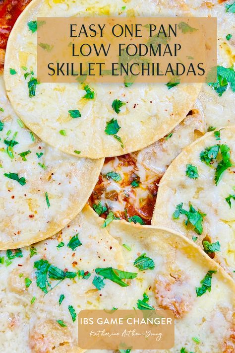 15 Minutes prep • 30 Minutes cook • Low FODMAP • Gluten-free • Serves 6 • Made all in one pan, these skillet enchiladas are a wonderful blend of smoky flavor and creamy sauce.   #ibsgamechanger #lowfodmapdiet #fodmap #lowfodmap #fodmapfriendly #glutenfree #glutenfreerecipes #glutenfreelife #onepan #smokensanity Skillet Enchiladas, Lemon Dill Chicken, Fodmap Recipes Dinner, Low Fodmap Recipes Dinner, Veggie Skillet, Turkey Enchiladas, Lactose Free Recipes, Root Veggies, Red Enchilada Sauce