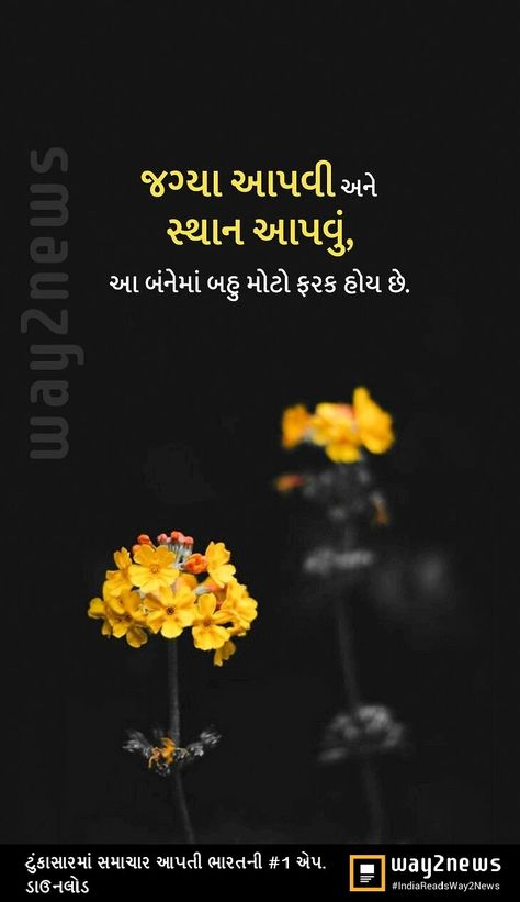 Motivational Quotes In Gujarati, Mehndi Design Photos, Gujarati Quotes, Self Quotes, Mehndi Design, Krishna, Best Quotes, Motivational Quotes, Collage