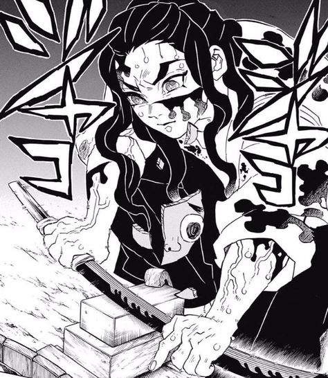 Demon Slayer Demon Hunter, Anime Meme, Dragon Slayer, Manga Pages, Manga Covers, Kimetsu No Yaiba, Best Anime Shows, Slayer Anime, Anime Comics