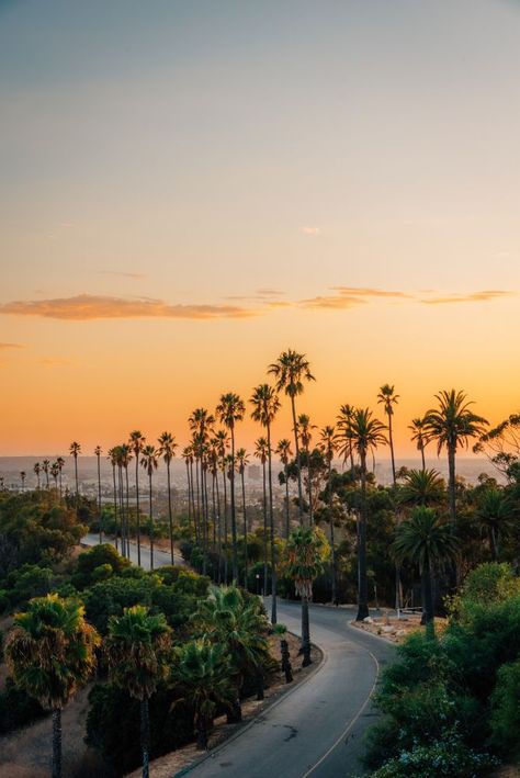 Los Angeles Echo Park, Echo Park Lake Los Angeles, Fall In Los Angeles, Things To Do In California Los Angeles, Cali Aesthetic, Echo Park Los Angeles, Echo Park Lake, Silver Lake Los Angeles, Angeles Aesthetic