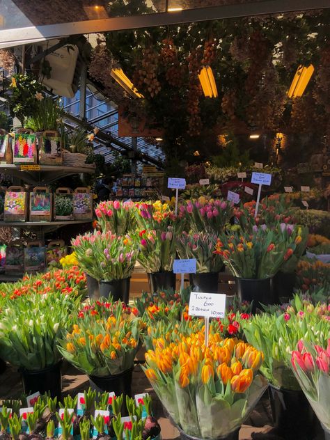 Boston Flower Shop, Amsterdam Tulips Aesthetic, Flowers Shop Aesthetic, Flowers Amsterdam, Amsterdam Shops, Aesthetic Flower Shop, Tulips In Amsterdam, Flower Shop Aesthetic, Amsterdam Tulips