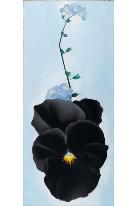 Georgia O'Keeffe at the Brooklyn Museum Gives Another Look at an Icon Georgia O'keefe Art, Black Pansy, Georgia O Keeffe Paintings, O Keeffe Paintings, Georgia Okeefe, Alfred Stieglitz, Georgia O Keeffe, O Keeffe, New York Art