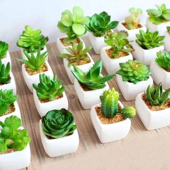 Kaktus Dan Sukulen, Wedding Plants, Lotus Plant, Fake Succulents, Artificial Plants Outdoor, Succulents Plants, Decorated Flower Pots, Artificial Succulents, Fake Plants