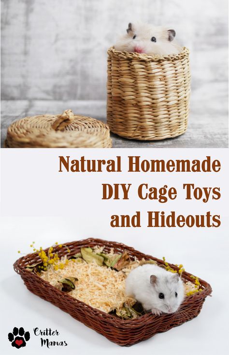 Natural and homemade DIY cage toys are all the rage for pet rodent owners these days. From their hideouts to mazes and multilevel play houses, wood makes an excellent option for your hamsters, gerbils and other small rodents.You are only limited by your imagination.Let’s dive in and check out the options for natural toys and DIY projects. Hamster Toys Diy Homemade, Dollar Tree Hamster Diy, Diy Mice Toys, Diy Hamster Hideout, Diy Mouse Cage, Homemade Hamster Cage, Hamster Toys Diy, Homemade Hamster Toys, Hamster Cage Ideas Diy