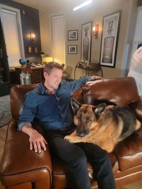 John Reardon, Steve Burton, Major Crimes, Credit Card App, Police Detective, Bestest Friend, Pretty Animals, Actor Photo, German Shepherd Dog