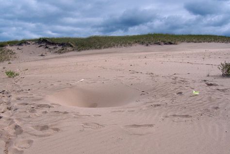 Mount Baldy, Indiana Dunes National Park, Old Boy Names, Indiana Dunes, Weird Science, First Day Of Summer, Stephen Hawking, Hot Topics, Sand Dunes