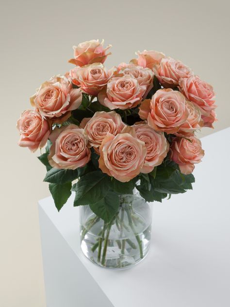 Rosaprima | Kahala Fall Arrangements, Cream Roses, Bouquets, Mothers Day, Orange