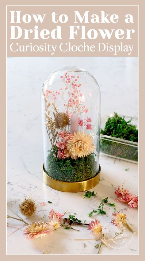 Cloche Flower Arrangement, Diy Cloche Ideas, Dried Flowers Ideas Diy, Jar Terrarium Diy, Cloche Crafts, Crystal Terrarium Diy, Floral Cloche, Diy Cloche, Dried Flower Diy