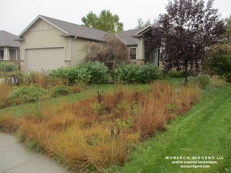 Converting a Small Front Yard to Prairie Beds -- 2014-2019 - Monarch Gardens Prairie Front Yard, Micro Prairie Front Yard, Mulch Bed Ideas Front Yards, Fescue Lawn, Small Front Yards, Prairie Garden, Wood Mulch, Gardening Inspiration, Small Front Yard