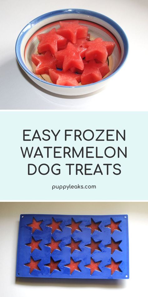 I love making dog treats, and this frozen watermelon dog treat recipe is one of my favorites. It's a great low calorie treat to help keep your dog cool in the summer, and since the only ingredient is the watermelon itself it's really easy to make. Chop some seedless watermelon into cubes, mix it in the blender until it's the consistency of a smoothie, freeze it for 3 hours and you're good to go. #dogtreats #dogs Watermelon Treats For Dogs, Watermelon Dog Treats, Frozen Dog Treats Homemade, Seedless Watermelon, Watermelon Dog, Homemade Dog Cookies, Frozen Dog Treats, Dogs Tips, Dog Biscuit Recipes