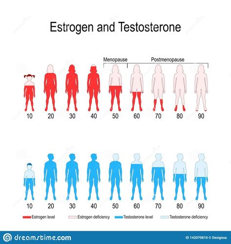 Medical Terminology Study, Testosterone Hormone, Hiit Workout Videos, Human Body Science, Testosterone Therapy, Very Funny Images, Fertility Health, Medical Anatomy, Herbs For Health