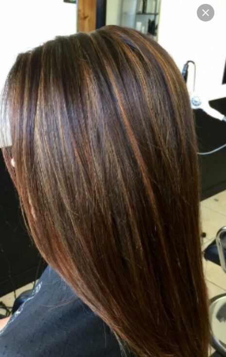 ... Hair Caramel Highlights, Dark Brown Hair With Caramel Highlights, Hair Caramel, Light Browns, Brown Hair With Caramel Highlights, Brown Hair Shades, Hair Highlights And Lowlights, Brown Ombre Hair, Ash Hair Color