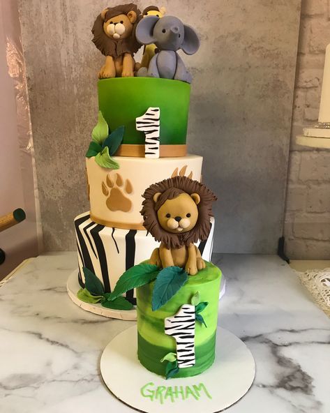 Twitter Wild One Smash Cake, Red Birthday Cakes, Wild Birthday Party, Themed First Birthday, Smash Cake Boy, Zoo Party, Wild One Birthday, Wild One Birthday Party, First Birthday Cake