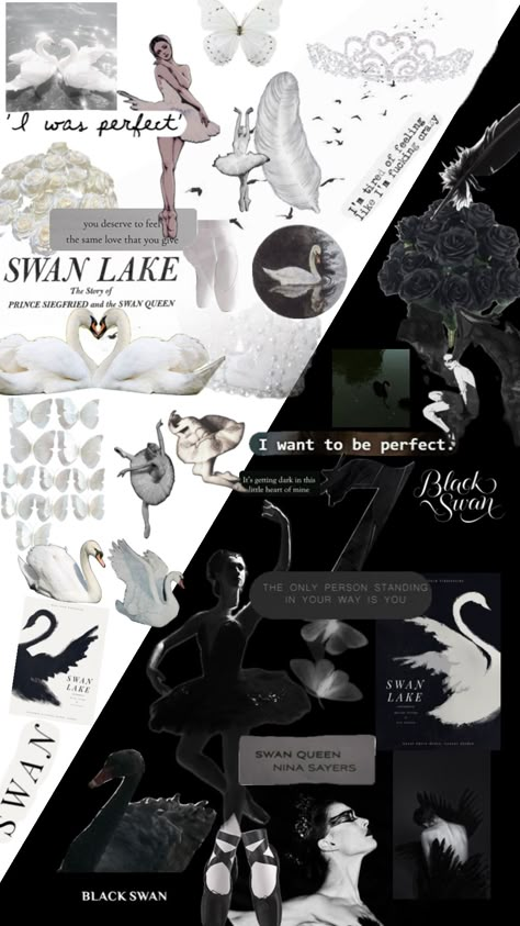 Black Swan Quince, Goth Ballerina, Black Vs White, Swan Wallpaper, Dark Swan, Colour Aesthetic, Swan Queen, Dance Like This, Same Love