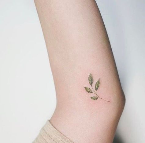 Leaf Tattoo, Nature Tattoo, Shape Tattoo, Muster Tattoos, Inspiration Tattoos, Tattoos Geometric, Sun Tattoos, Plant Tattoo, Delicate Tattoo