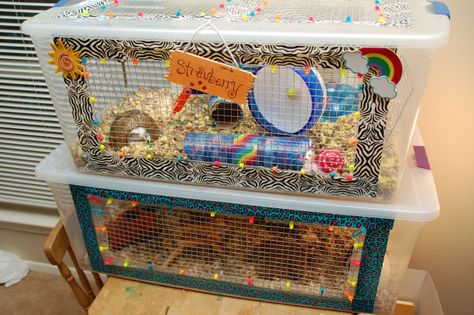 Making a gerbil bin cage.  An alternative to glass aquariums. Most importantly make it escape and chew proof by making sure no edges can be chewed. Diy Hamster Cage, Bin Cage, Hamster Bin Cage, Hamster Diy Cage, Cool Hamster Cages, Diy Guinea Pig Cage, Hamster Diy, Hamster Habitat, Hamster Care