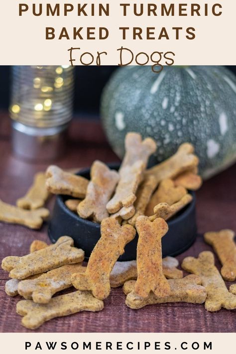 Pumpkin Turmeric Dog Treats Pumpkin Recipes For Dogs, Salmon Dog Treats, Pumpkin Balls, Banana Treats, Dog Treats Grain Free, Easy Dog Treats, Healthy Dog Treats Homemade, Mini Pumpkin Pies, Low Carb Flour