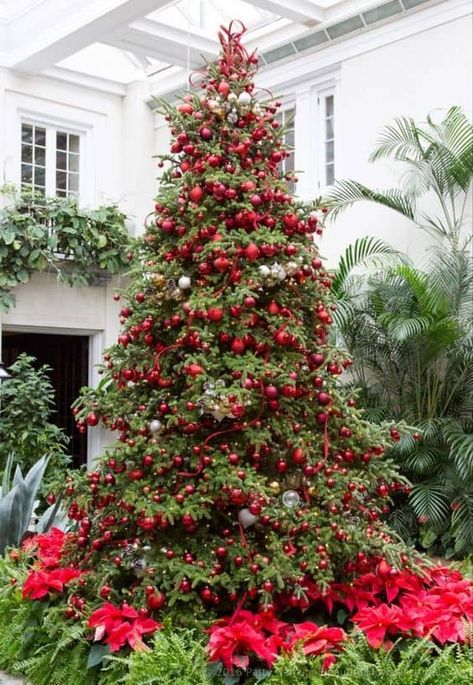 Elegant Christmas Trees, Longwood Gardens, Red Christmas Tree, Christmas Tree Inspiration, Simple Christmas Tree, Beautiful Christmas Trees, Noel Christmas, Christmas Tree Themes, Christmas Deco