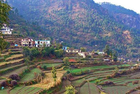 Indian Tourist Places | Travel Destinations India: Solan, Himachal Pradesh Indian Tourist Places, Solan Himachal Pradesh, India Tour, Shimla, Hill Station, Himachal Pradesh, The Eighth Day, Tourist Places, Incredible India