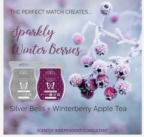 Scentsy Sample Ideas, Wax Recipe, Scentsy Pictures, Scentsy Recipes, Scentsy Uk, Best Wax Melts, Scentsy Candles, Scentsy Consultant Ideas, Apple Tea