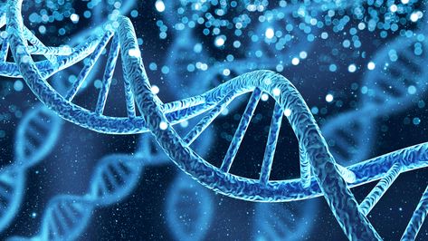 NIH researchers unlock pattern of gene activity for ADHD Alcohol Withdrawal Symptoms, Genetic Variation, Genetic Diseases, Personalized Medicine, Ancestry Dna, Gene Therapy, Cognitive Science, Gene Expression, Genetic Testing