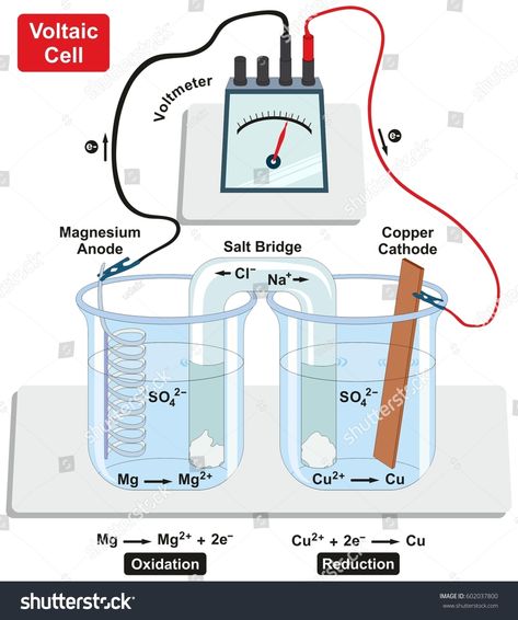 Voltaic Galvanic Cell with copper cathode and magnesium anode salt bridge voltmeter and process of oxidation and reduction diagram for physics and chemistry science education #Ad , #ad, #anode#magnesium#bridge#salt Oxidation And Reduction, Galvanic Cell, Electrochemical Cell, Technical Engineering, Infographic Diagram, Engineering Equipment, Physics And Chemistry, Science Diagrams, Plasma Membrane