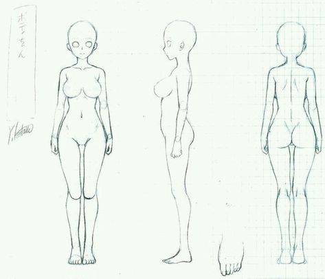 Drawing Anime Bodies, 3d Karakter, Drawing Female Body, Body Drawing Tutorial, Manga Drawing Tutorials, Body Reference Drawing, Figure Drawing Reference, Body Drawing, Female Body