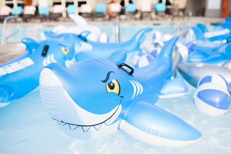 Shark Pool Party Decorations, Shark Themed Pool Party, Shark Pool Party, Themed Pool Party, Shark Pool, Shark Themed Party, Jenny Cookies, Pool Party Kids, Shark Themed Birthday Party