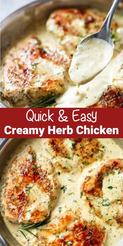 Creamy Herb Chicken, Herb Chicken Recipes, Favorite Recipes Chicken, Herb Chicken, Cook Chicken Breast, Chicken Dishes Recipes, Budget Meals, Chicken Dinner Recipes, Chicken Breast Recipes