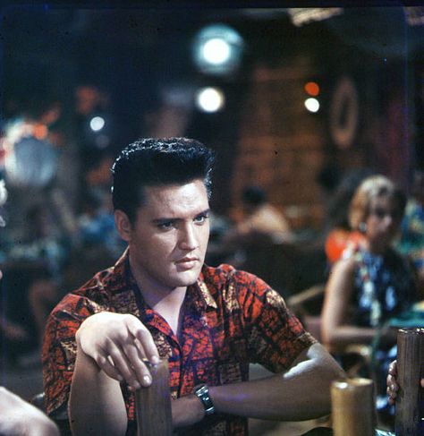 Elvis Presley Aesthetic Vintage, Elvis Pfp, Blue Hawaii Movie, Elvis Presley Aesthetic, Elvis Presley Blue Hawaii, Elvis Today, King Creole, Elvis Presley Movies, King Elvis Presley