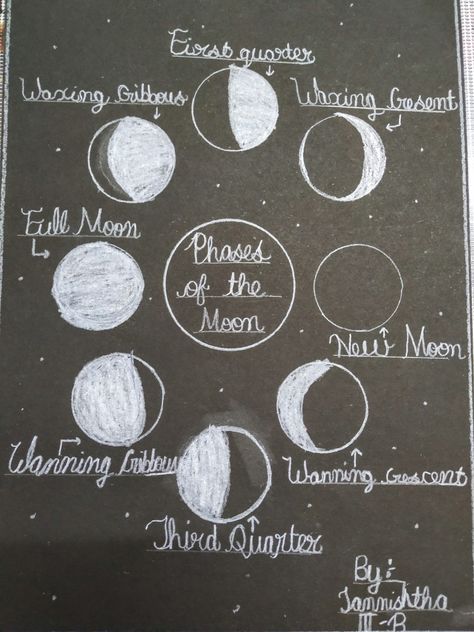 Evs activity on phrases of moon. Moon Phases Sketch, Phrases Of The Moon, The Moon Sketch, Moon Phrases, Moon Sketch, Arts And Crafts Projects, Moon Phases, The Moon, Craft Projects