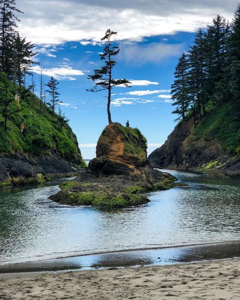 Deadmans Cove, WA Long Beach Washington, Cape Disappointment, Pacific Coast Road Trip, Washington Vacation, Washington State Travel, Steel Bridge, Camping Park, Plitvice Lakes National Park, Usa Beaches