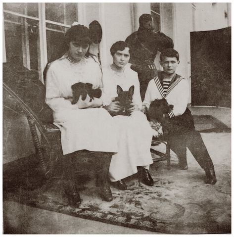 The Romanov Family, Grand Duchess Tatiana Nikolaevna Of Russia, Tatiana Romanov, The Romanovs, Tatiana Nikolaevna, Alexei Romanov, Photos Rares, Romanov Sisters, Anastasia Romanov