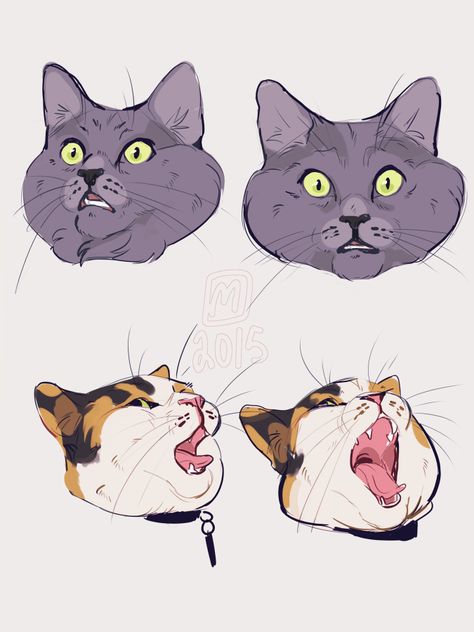 Cat Open Mouth Drawing, Cat Open Mouth, Cat Face Drawing, Cat Faces, Posca Art, 강아지 그림, Idee Cosplay, Warrior Cat, Animal Sketches