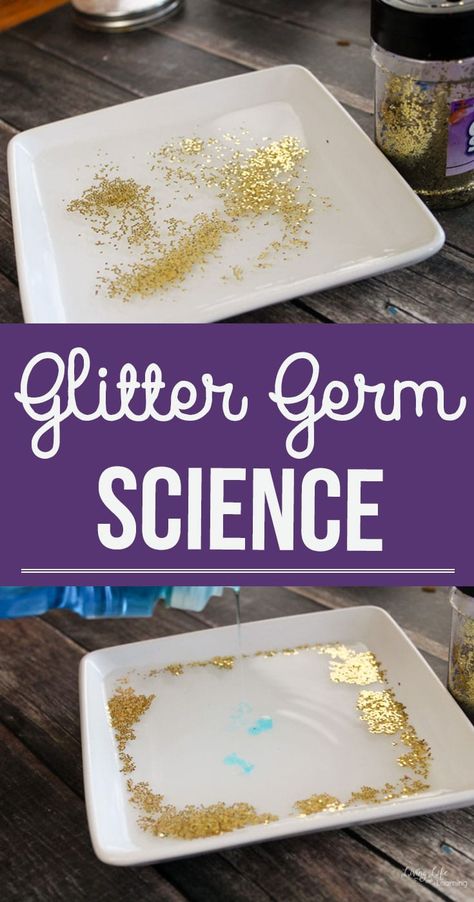 Show your kids how using soap works to get rid of germs in this glitter germ science experiment. You can also use it to show how thorough they need to be while washing their hands. Germs are everywhere, show your kids how important soap is to get rid of them with this hands-on germ activity.  #science #germs #scienceexperiment Germ Experiment, Germs Activities, Pre-k Science, Science For Toddlers, Science Week, Experiment For Kids, Preschool Science Activities, Science Experiments For Preschoolers, Kid Experiments