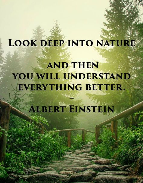 #Naturequote #greenquote #green Quotes On Plants, Herbal Quotes, Nature Quotes Beautiful, Mother Nature Quotes, Spiritual Lessons, Medicine Quotes, Wisdom Words, Plants Quotes, Earth Mother