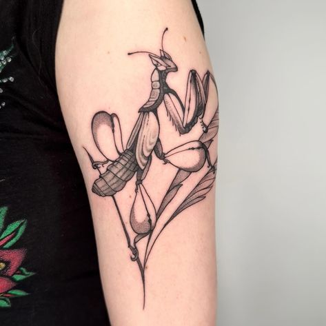 Orchid mantis 🥰 Mantis Tattoo, Orchid Mantis, Cute Tattoos, Blackwork, Geometric Tattoo, Orchids, Insects, Human, Tattoos