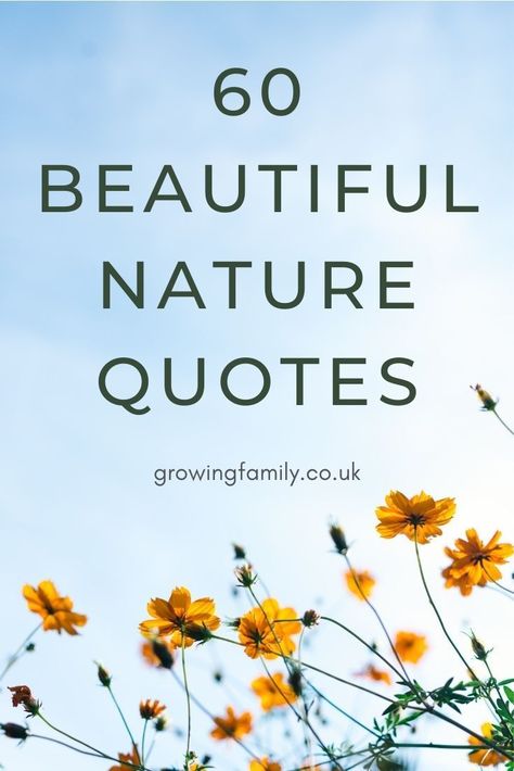 Quotes Of Nature Beauty, Nature Meditation Quotes, Summer Nature Quotes, Quotes About The Beauty Of Nature, Family And Nature Quotes, Quote About Nature Beauty, Nature Positive Quotes, Appreciate Nature Quotes, Loving Nature Quotes